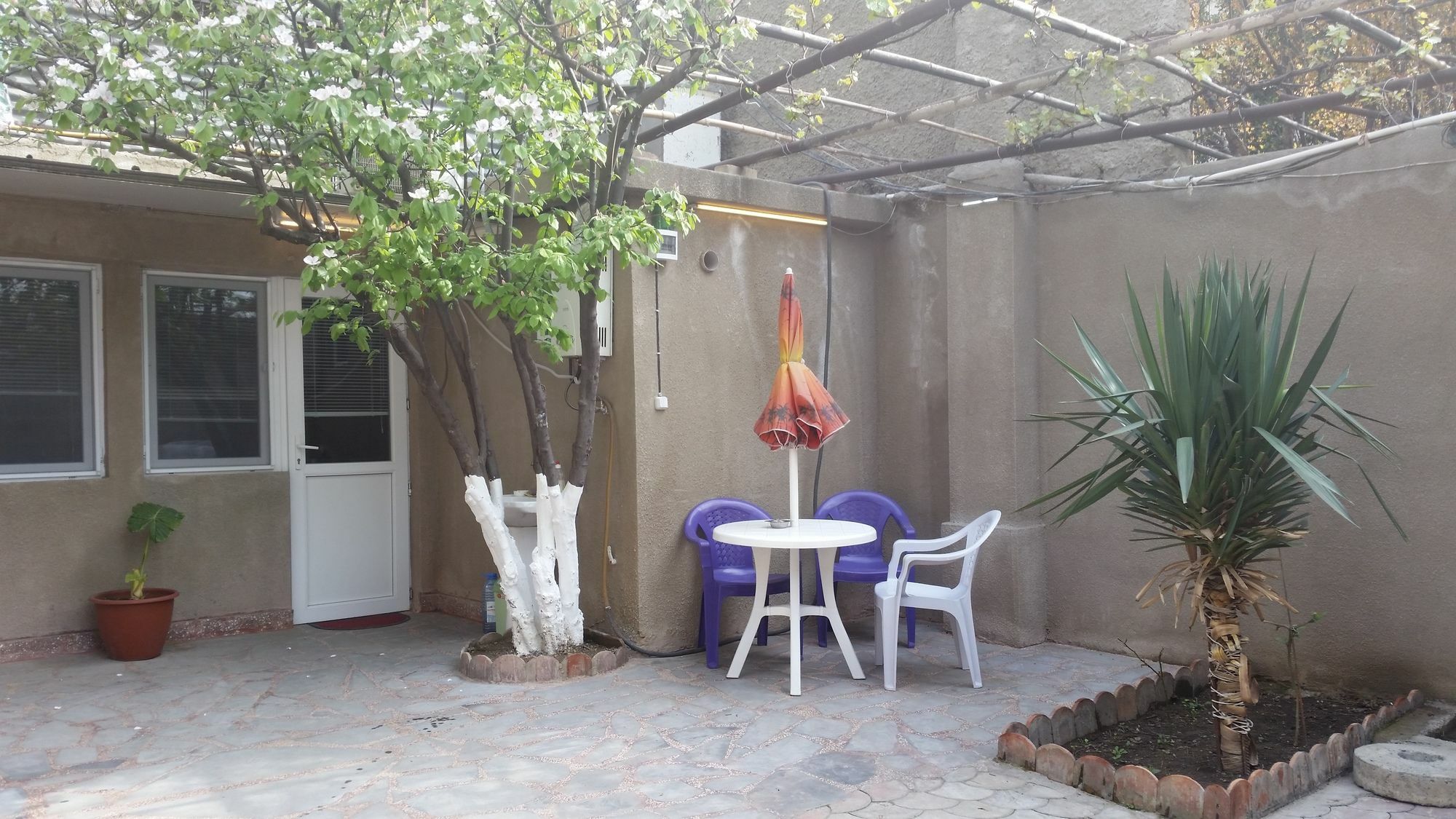 Guest House Spartak Tbilisi Exterior photo